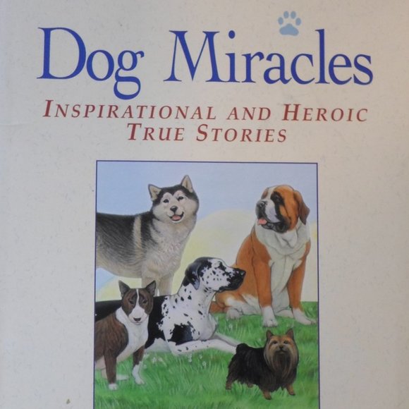 Miracles Books - Picture 5 of 8